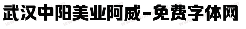 武汉中阳美业阿威字体转换