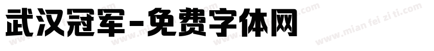 武汉冠军字体转换