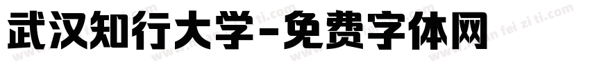武汉知行大学字体转换