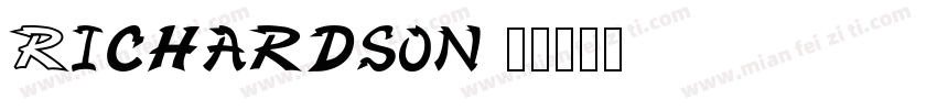 Richardson字体转换