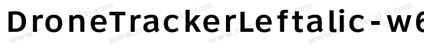 DroneTrackerLeftalic-w6W8字体转换