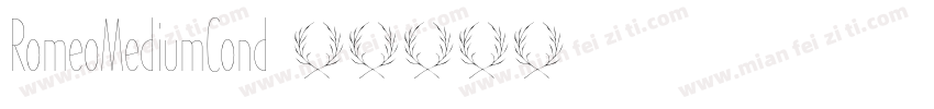 RomeoMediumCond字体转换