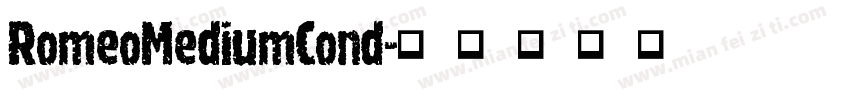 RomeoMediumCond字体转换