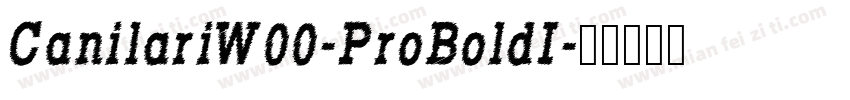 CanilariW00-ProBoldI字体转换