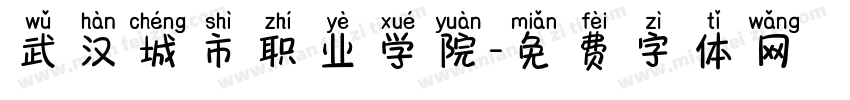 武汉城市职业学院字体转换