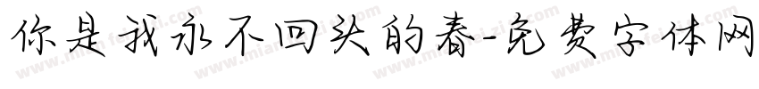 你是我永不回头的春字体转换
