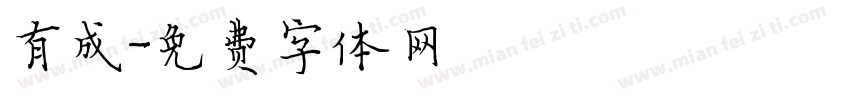 有成字体转换
