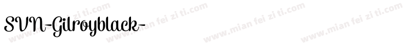 SVN-Gilroyblack字体转换