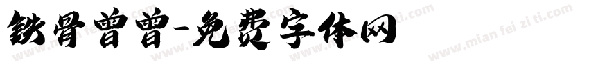 铁骨曾曾字体转换