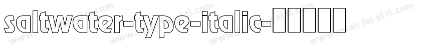 saltwater-type-italic字体转换