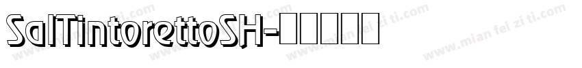 SalTintorettoSH字体转换