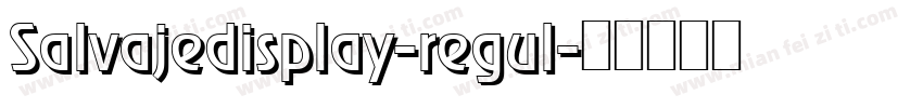 Salvajedisplay-regul字体转换