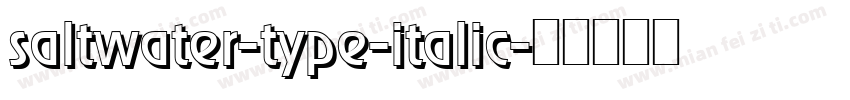saltwater-type-italic字体转换