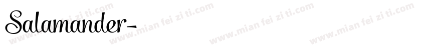 Salamander字体转换