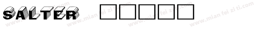 Salter字体转换