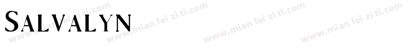Salvalyn字体转换