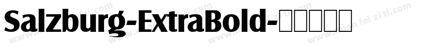 Salzburg-ExtraBold字体转换