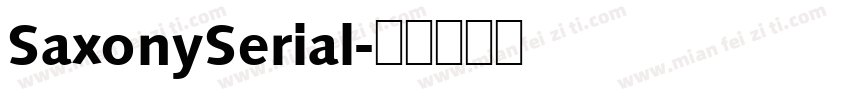 SaxonySerial字体转换