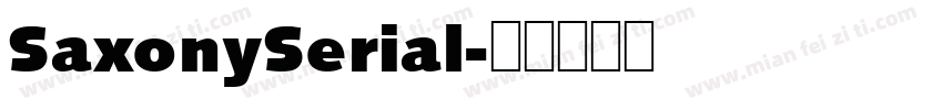 SaxonySerial字体转换