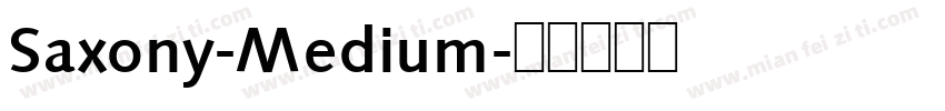 Saxony-Medium字体转换