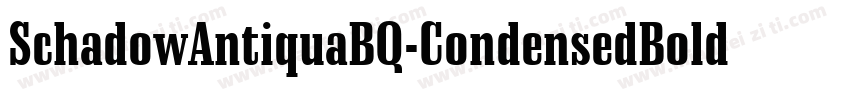 SchadowAntiquaBQ-CondensedBold字体转换