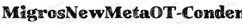 MigrosNewMetaOT-CondensedBook字体转换