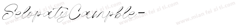 SelopatyCampble字体转换