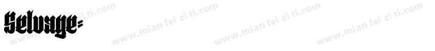 Selvage字体转换