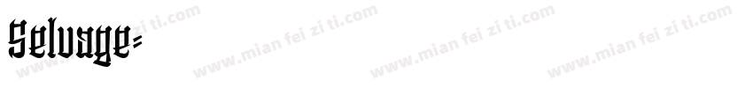 Selvage字体转换