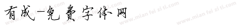 有成字体转换