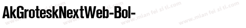 AkGroteskNextWeb-Bol字体转换
