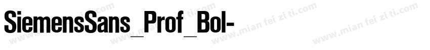 SiemensSans_Prof_Bol字体转换