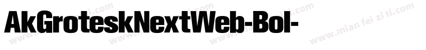 AkGroteskNextWeb-Bol字体转换