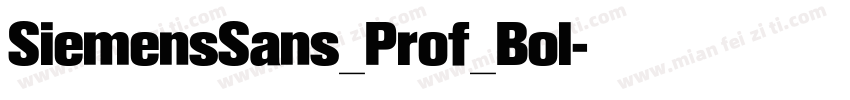 SiemensSans_Prof_Bol字体转换