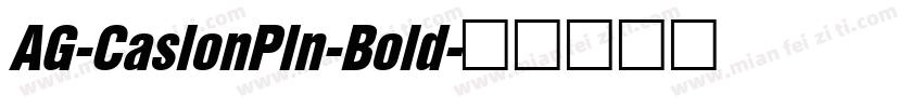 AG-CaslonPln-Bold字体转换