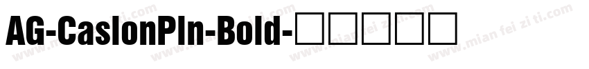 AG-CaslonPln-Bold字体转换