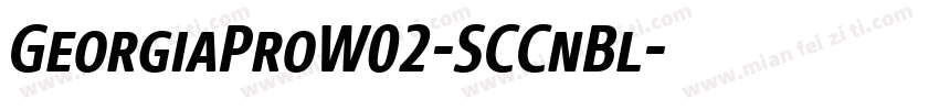 GeorgiaProW02-SCCnBl字体转换