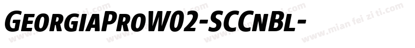 GeorgiaProW02-SCCnBl字体转换