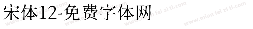 宋体12字体转换