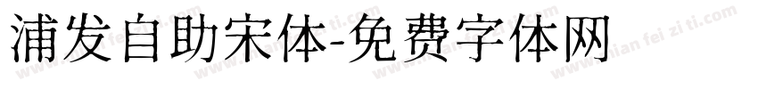 浦发自助宋体字体转换