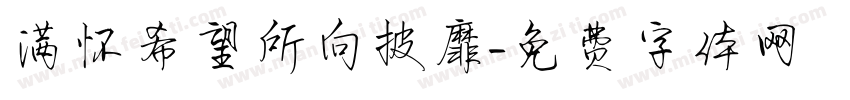 满怀希望所向披靡字体转换