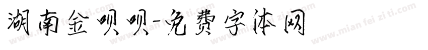 湖南金呗呗字体转换