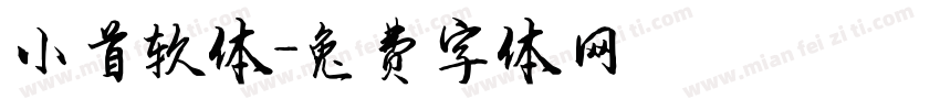 小首软体字体转换