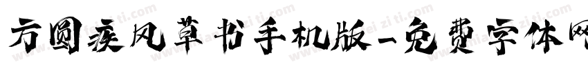 方圆疾风草书手机版字体转换
