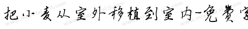 把小麦从室外移植到室内字体转换