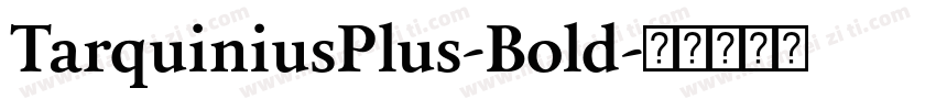 TarquiniusPlus-Bold字体转换