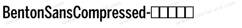 BentonSansCompressed字体转换