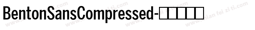 BentonSansCompressed字体转换