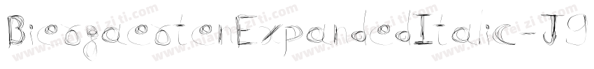 BiergaertenExpandedItalic-J99j字体转换
