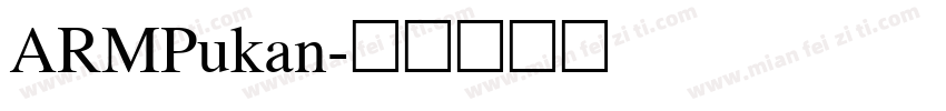 ARMPukan字体转换